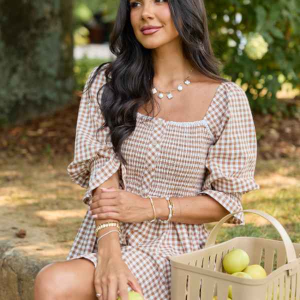 1186adad900395f47cfbfbab4558a01a.png Tailored Grace Brown Gingham Mini Dress