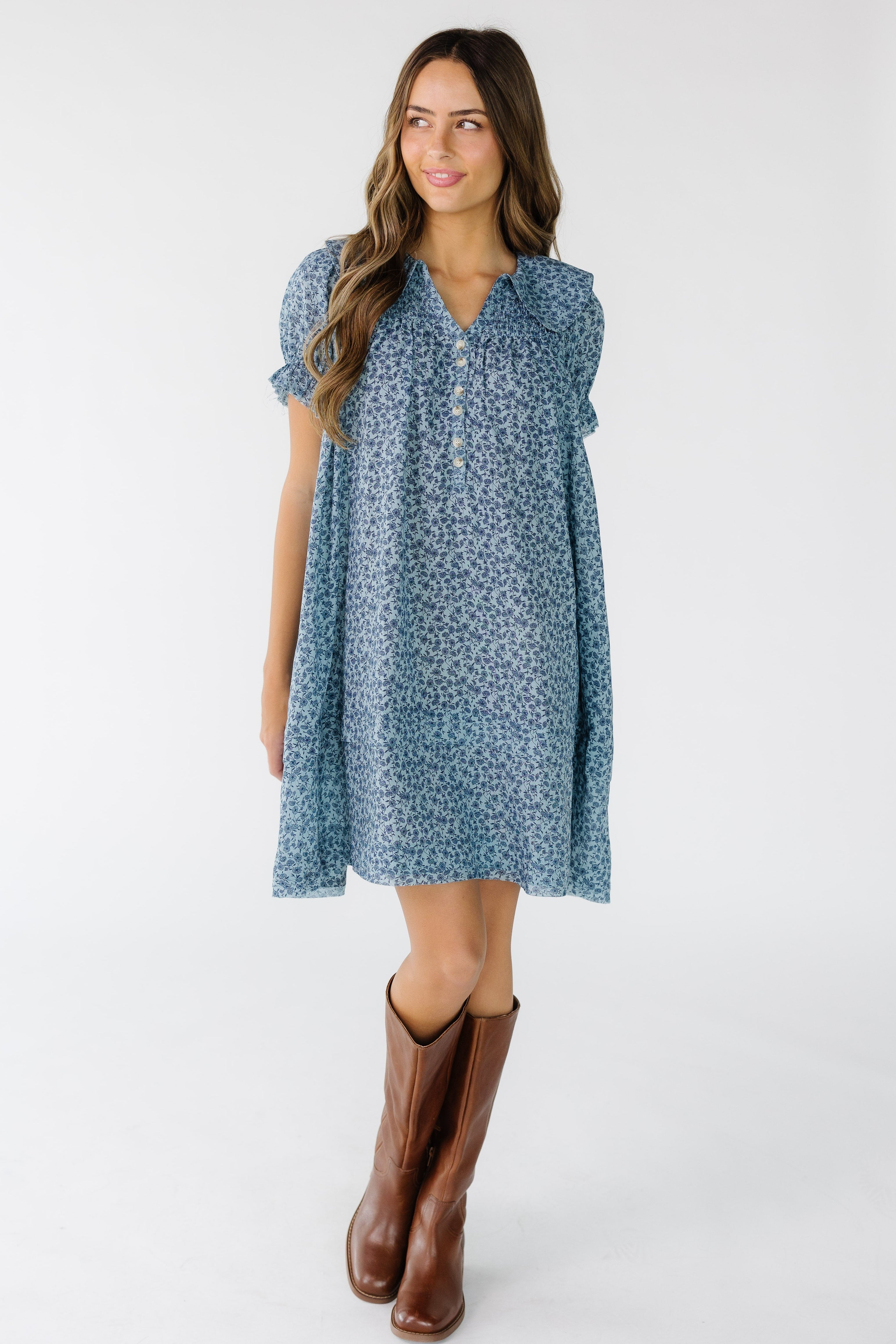 Brass & Roe Collared Knee Dress
